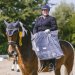 20230618-0006048_Kirchdorf-Classics_Kl-L-Trense_Pferdesporthaus-Loesdau