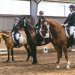 20230618-0006080_Kirchdorf-Classics