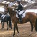 20230618-0006085_Kirchdorf-Classics