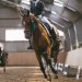 20230618-0006099_Kirchdorf-Classics