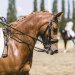 20230618-0006151_Kirchdorf-Classics