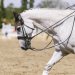 20230618-0006286_Kirchdorf-Classics