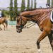 20230618-0006288_Kirchdorf-Classics