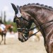 20230618-0006291_Kirchdorf-Classics
