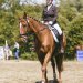 20230618-0006293_Kirchdorf-Classics