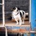 KC_So-0149_WEB