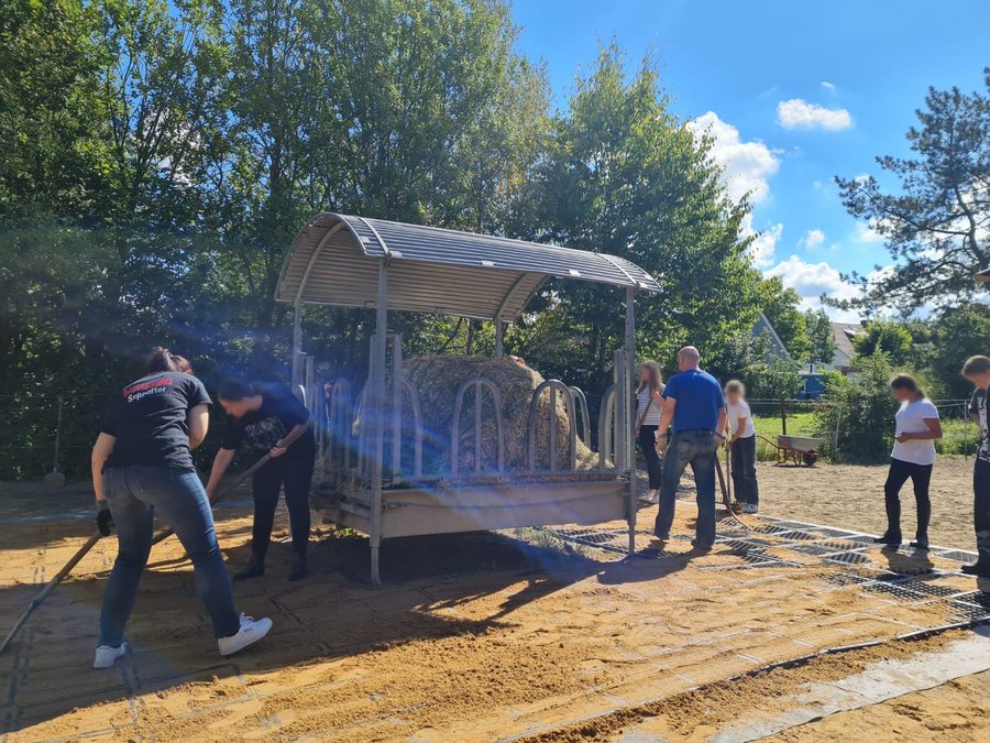 Mitglieder verteilen beim Arbeitsdienst Sand unter der Heuraufe am Außenplatz