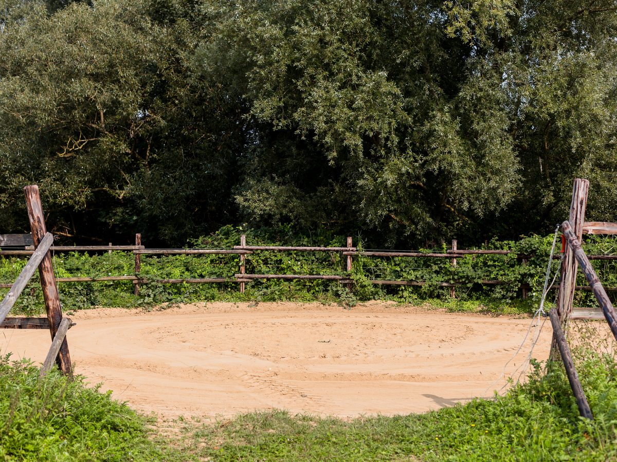 Der Roundpen mit Sandboden, umgeben von hohen Büschen