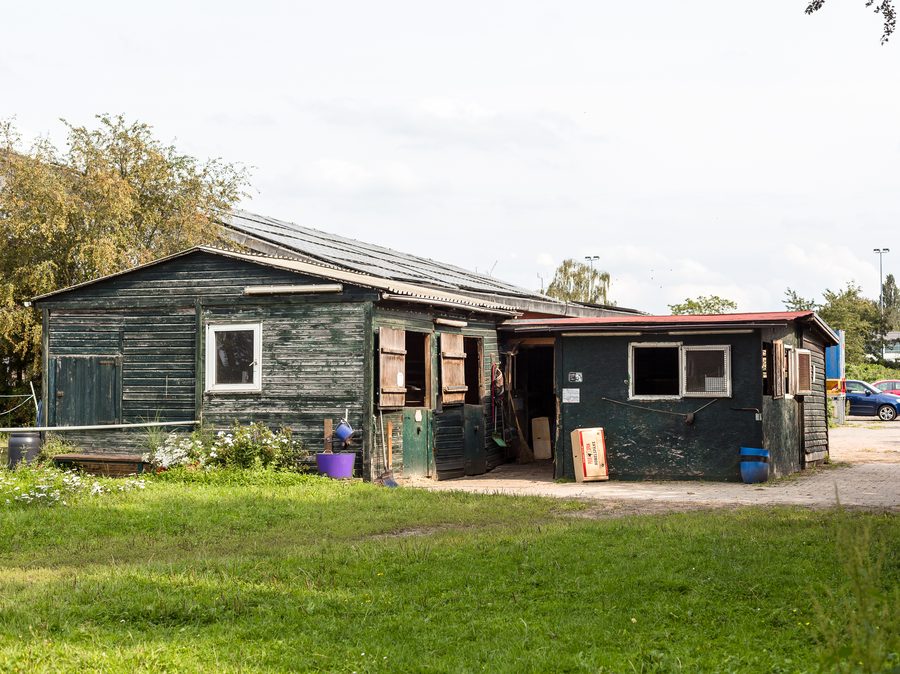Der alte Ponystall aus dunkelgrünem Holz mit weißen Fenstern
